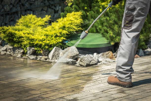 Best Animal Enclosure Cleaning  in Hackberry, TX