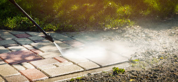 Best Dumpster Area Cleaning  in Hackberry, TX